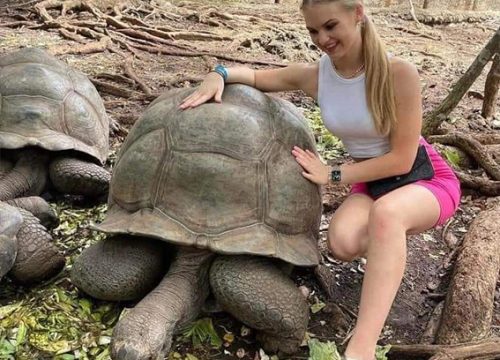Prison Island & Nakupenda Sandbank