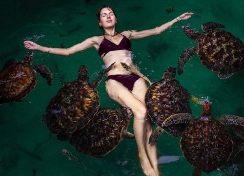 Swimming With Turtles & Sunset Dhow Cruise